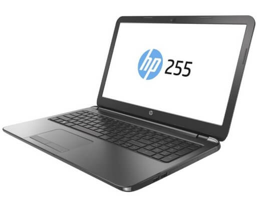 Ноутбук HP 255 G1 не включается